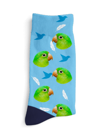 Personalizované ponožky - Ptáček