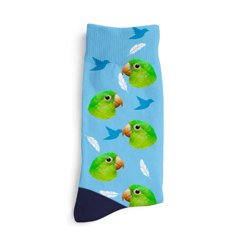 Personalizované ponožky - Ptáček