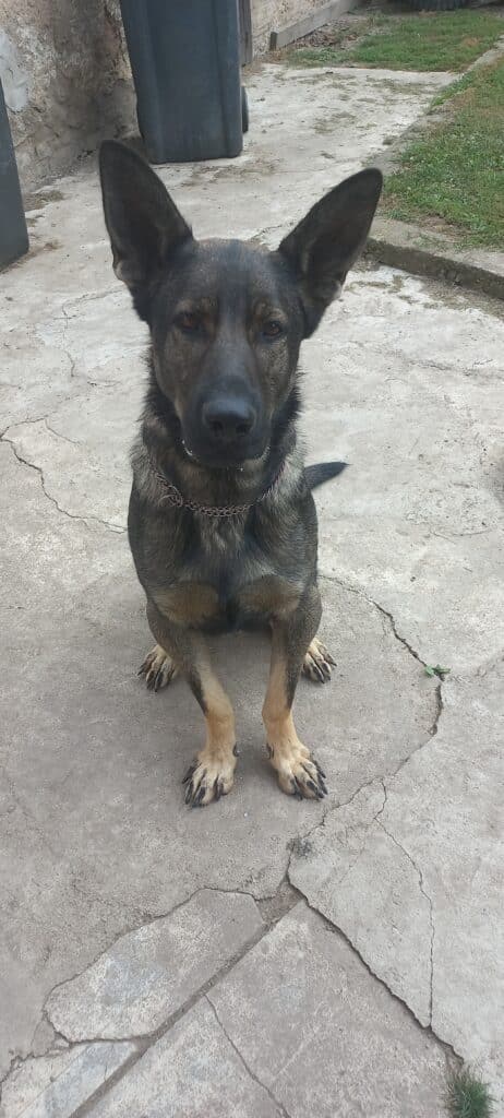 Image #1 from Jaroslava Šebestová