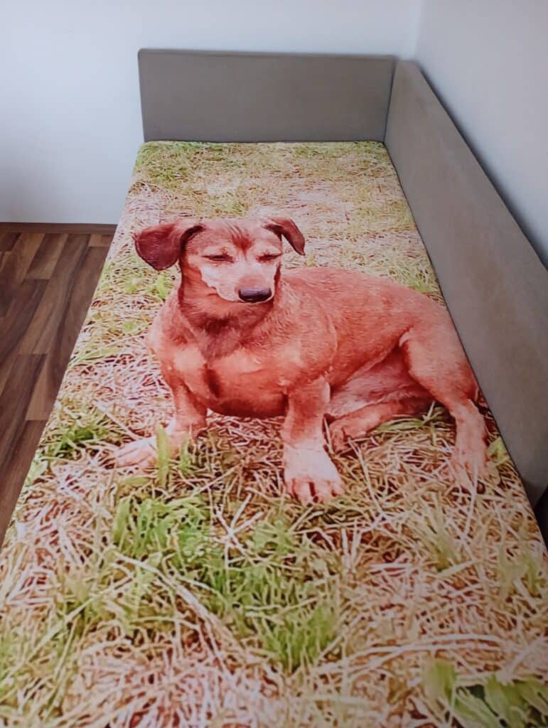 Image #1 from Václava Pužejová