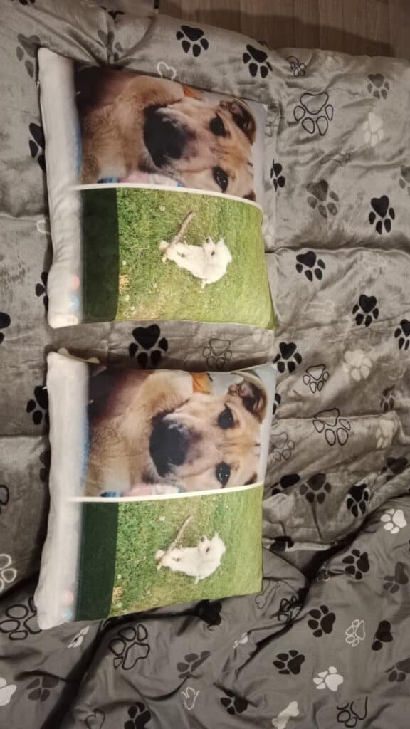 Image #1 from Pavel Sohajek