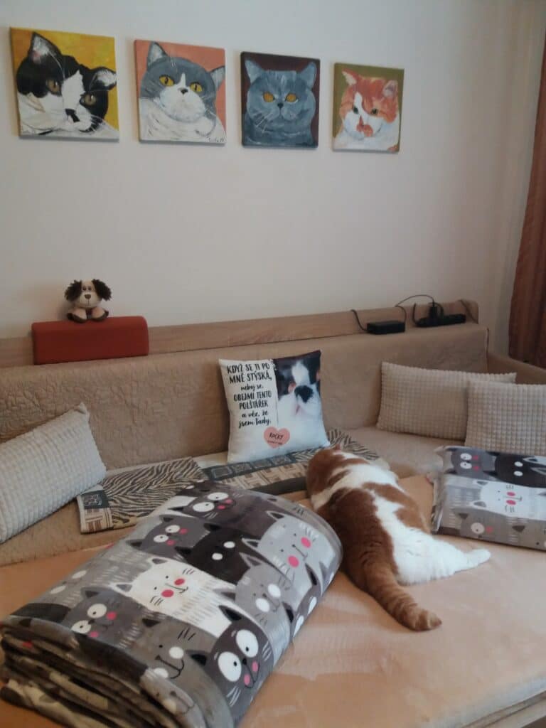 Image #1 from Pavla M.