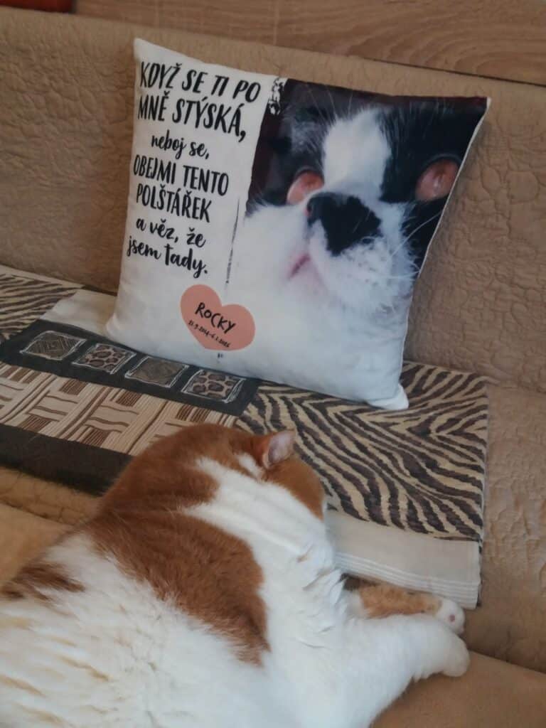 Image #2 from Pavla M.